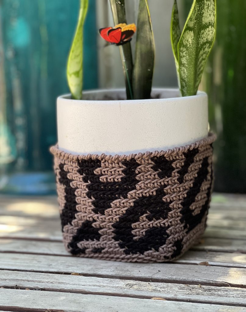 snake plant in white pot with leopard print pot cover