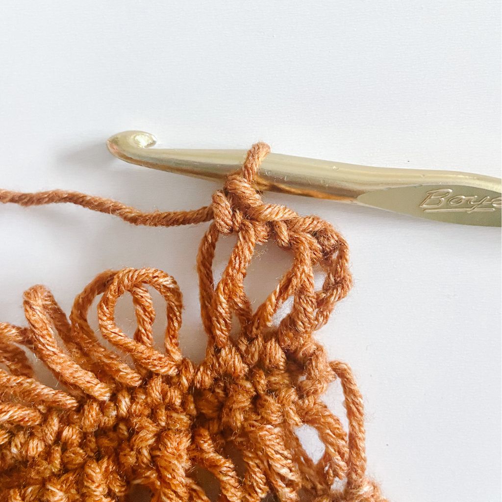 series of single crochet stitches in finished drop stitch loops